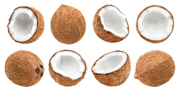 istock Rich collection of delicious coconuts on white 1290820073