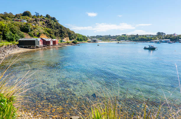 View across Half Moon Bay to rustic boatsheds on Stewart Island.