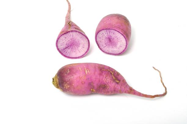 istock Purple radish on a white background 1290825073