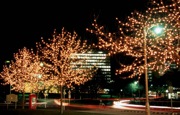 istock Trees lit up with fairy lights 1290826457