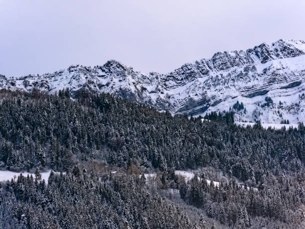 istock Mountain range with forest and snow in Swiss Alps on a cloudy day 1290826582