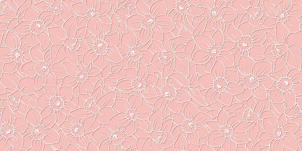 Floral Seamless Pattern White Outline Daffodils Pink Background Narcissus  Flowers Cut Out Effect Delicate Spring Vector Print Stock Illustration -  Download Image Now - iStock