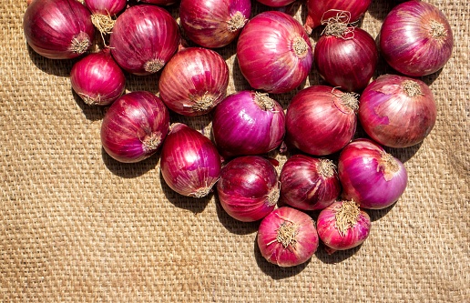 Stack of Harvested Onion on Burlap Fabric Background in Horizontal Orientation.