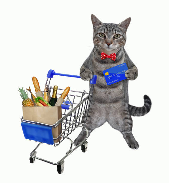 istock Cat gray with credit cart pushes trolley 1290828453