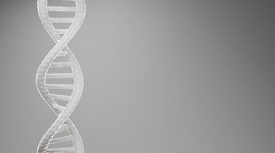 White DNA structure abstract on grey background, 3D rendering.
