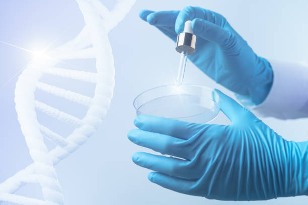 istock Scientist hand holding a petri dish with DNA, scientific background. 3d rendering. 1290828725