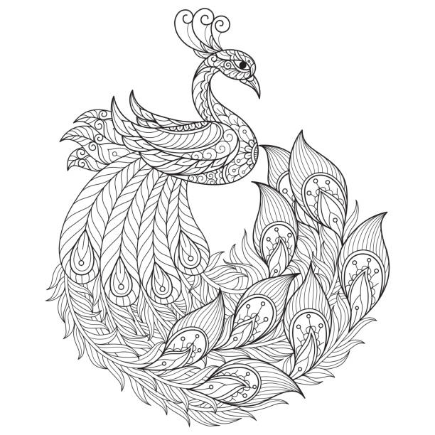 doodle Beautiful Peacock s adult coloring page, Illustration  style. Hand drawn sketch illustration for adult coloring book vector was made in eps 10. coloring book page illlustration technique illustrations stock illustrations