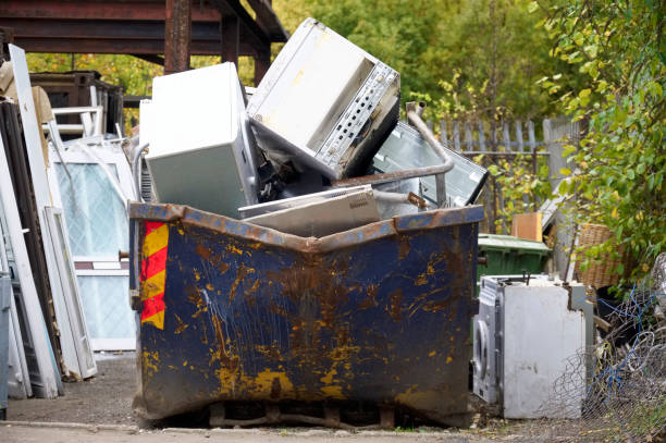 Skip Pic 460+ Skip Bin Stock Photos, Pictures & Royalty-Free Images - iStock