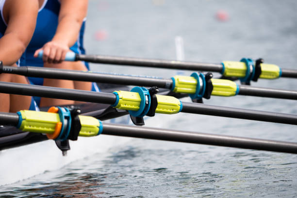 campionato europeo juniores di canottaggio, belgrado - remare foto e immagini stock