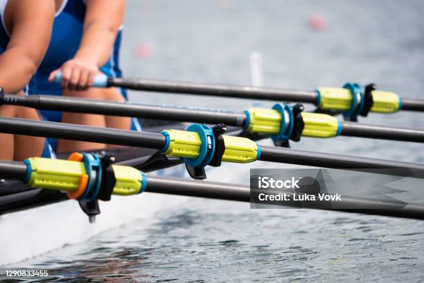 European Rowing Junior Championship Belgrade Stock Photo - Download Image Now - Rowing, Sports Team, Teamwork