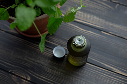 Green bottle of body oil top view on a dark wooden background with a green potted plant