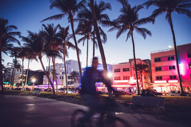 Miami Beach promenade at dusk Beautiful view at sunset between palm trees and illuminated hotels on the Miami Beach promenade. 1 hotel south beach stock pictures, royalty-free photos & images