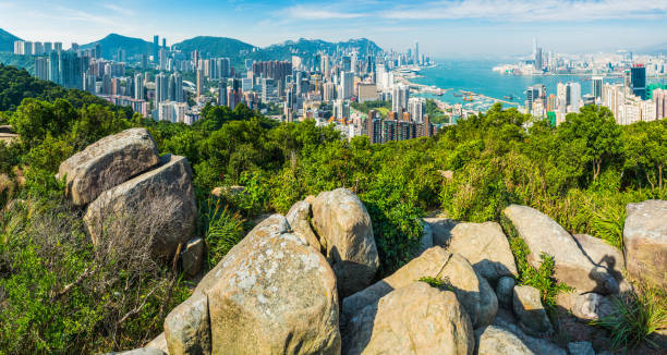 istock Hong Kong panorama view from mountain overlooking harbour skyscrapers China 1290839921