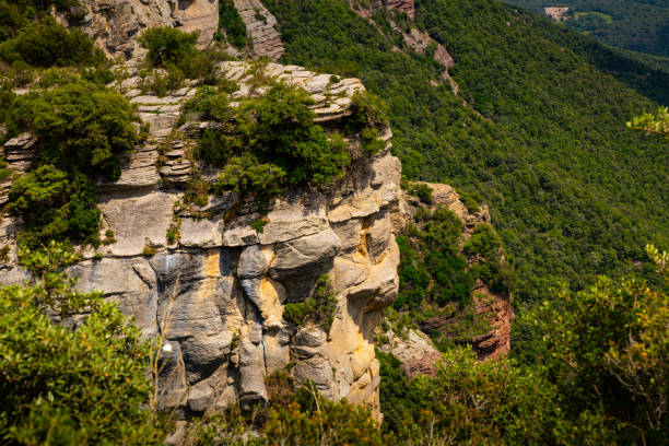 istock Forest cliffs in the city Tavertet area. Central Catalonia 1290840917