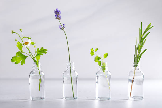 istock Transparent bottles with fresh herbs for aromatherapy 1290844690