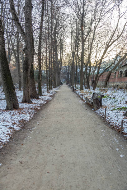 istock Winter in the public city park 1290846731