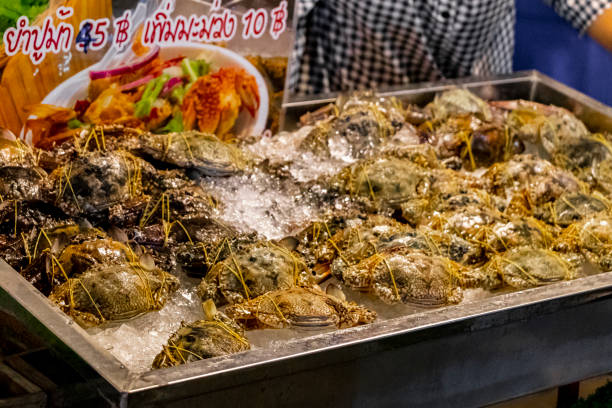 live crabs and lobsters thai night market street food in huai khwang, bangkok, thailand. - huai khwang district imagens e fotografias de stock