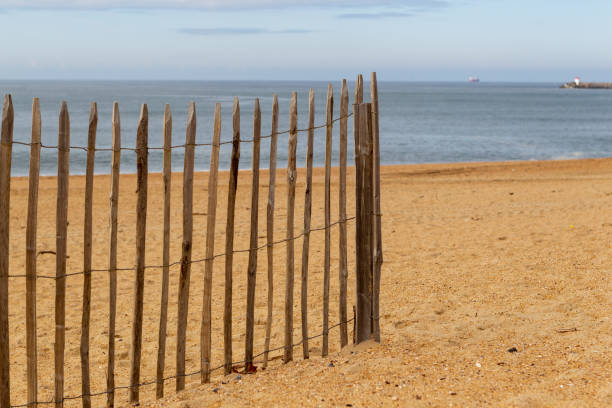 istock wooden fence on the beach 1290847940