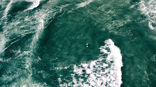 istock Surfer and The Great Sea 1290848750