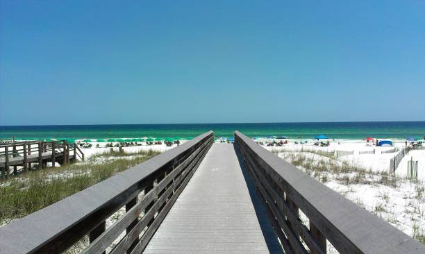 istock Wooden path to the beach. 1290850698