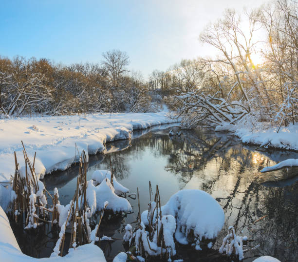 Beautiful snow covered trees in the glow of rising sun.