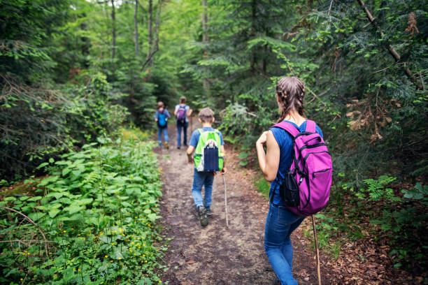 istock Mother with kids hiking in beautiful forest 1290861313