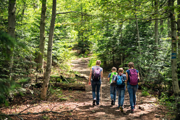 istock Mother with kids hiking in beautiful forest 1290863612
