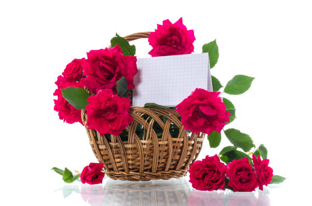 A bouquet of velvet roses in a pink cradle-shaped basket. Isolated on a white background.