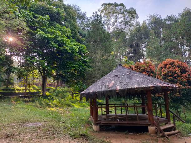 istock small house in green garden 1290864924