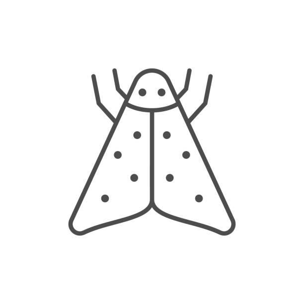 illustrazioni stock, clip art, cartoni animati e icone di tendenza di icona del contorno della linea della falena o concetto di insetto - farina insetti