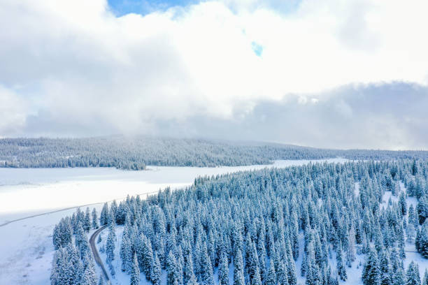 istock Peaceful snowy forest and frozen lake under a cloudy sky 1290874188