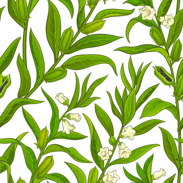 ilustrações de stock, clip art, desenhos animados e ícones de sesame vector pattern - sesame seed cereal plant backgrounds