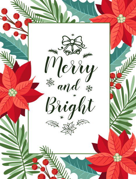 Christmas and New year background Decorative Christmas greeting card with evergreen plants, red flowers and lettering on a white background. Christmas and New year design. poinsettia stock illustrations