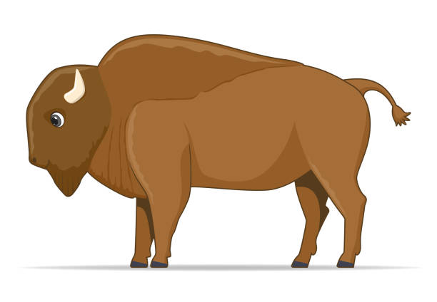 Naughty American Buffalo Illustrations, Royalty-Free Vector Graphics & Clip Art - iStock Naughty American Buffalo Illustrations, Royalty-Free Vector Graphics & Clip Art - iStock