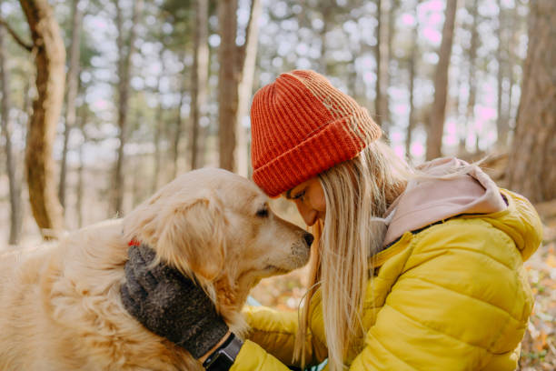 istock Sharing a moment with my dog 1290881478