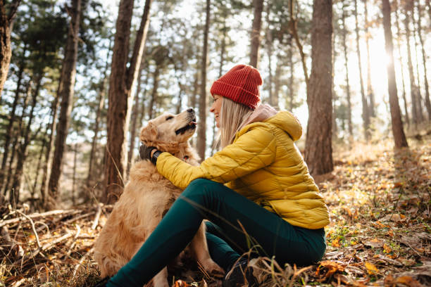 istock Sharing a moment with my dog 1290881707