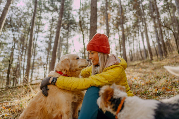 istock Sharing a moment with my dog 1290881879