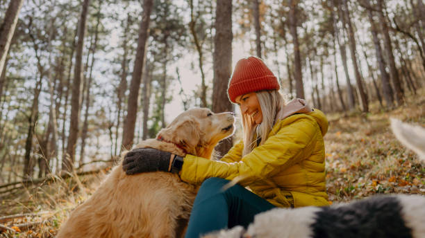 istock Sharing a moment with my dog 1290882681