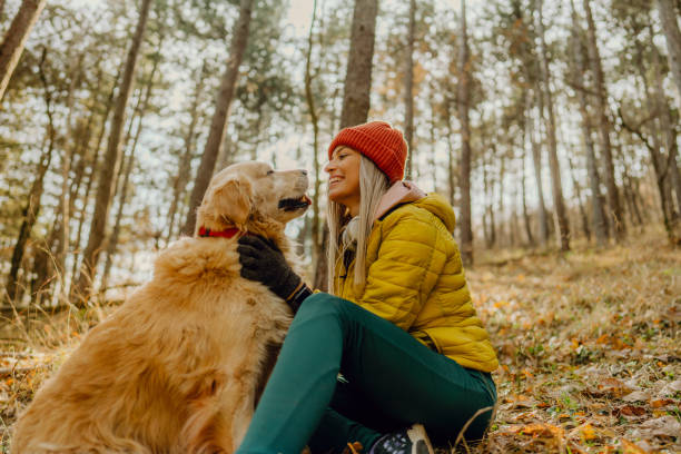 istock Sharing a moment with my dog 1290882793