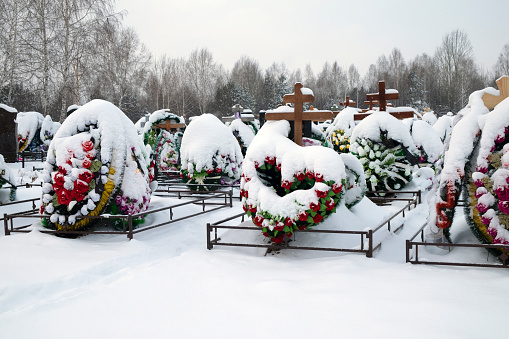 Cemetery in winter, fresh graves of those who died from a pandemic with wreaths covered with snow