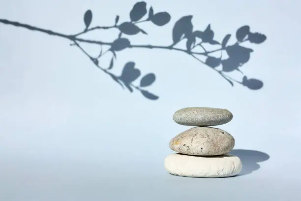 Three grey roundstones with a shadow of blooming sprig on pastel light blue background. Spa stones, zen concept.Shadows photography.Nature aesthetic