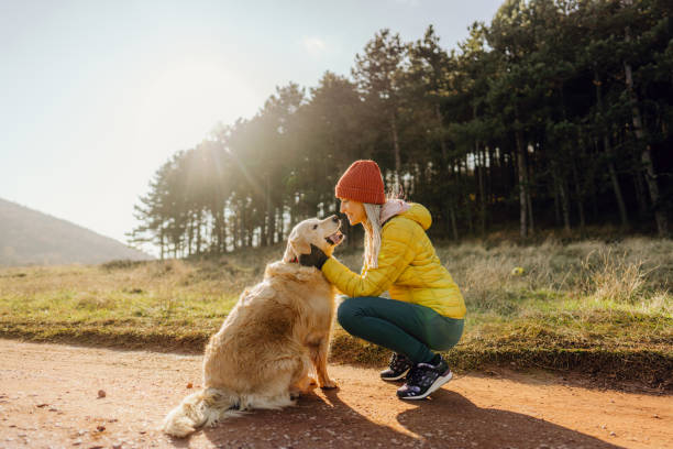 istock Sharing a moment with my dog 1290886915