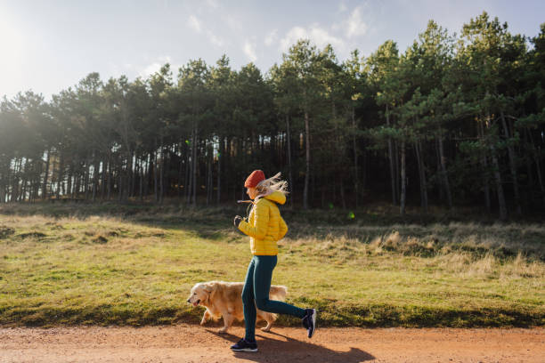 молодая женщина бег трусцой со своей собакой - autumn jogging outdoors running стоковые фото и изображения
