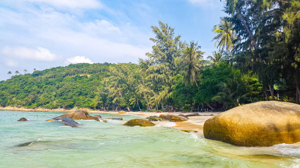 istock Haad Klom in Koh Phangan, Thailand 1290897018
