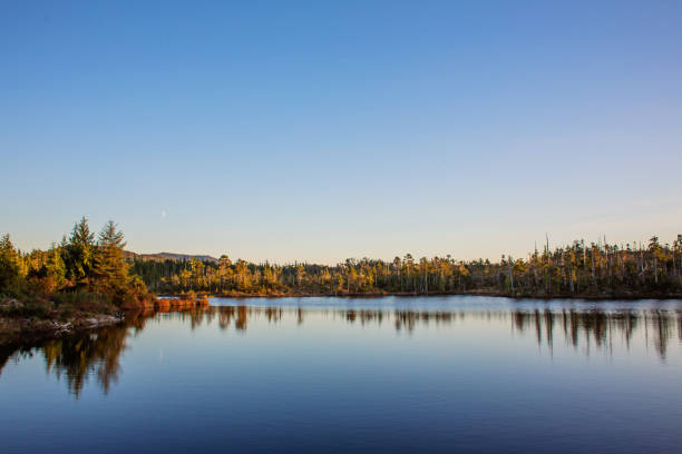 Water reservoir in Bella Bell