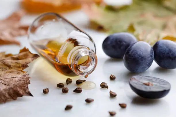 Grape seed oil in a glass bottle with seeds, fruit and autumn leaves.