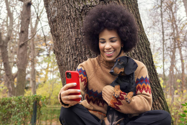 a Cuban girl taking a selfie with her dachshund in the park stock photo