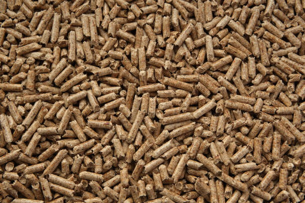 Wood pellets texture. Pellets made from compressed wood and used as natural cat litter. stock photo