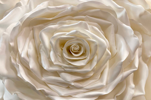 istock Artificial flower rose white color pearl like 1290916791