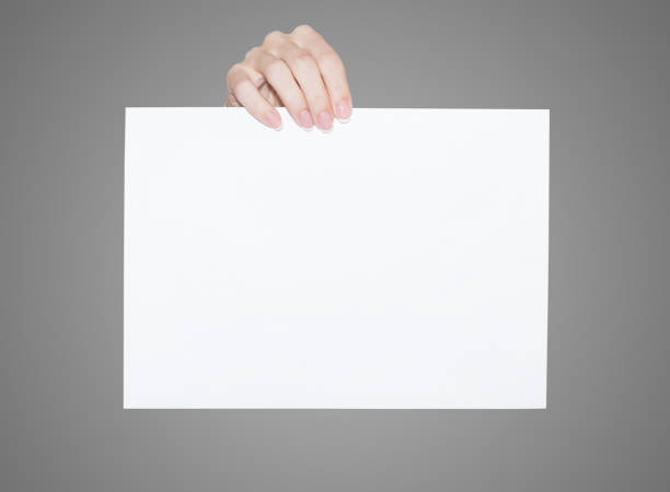 istock White blank sheet with female fingers 1290917737